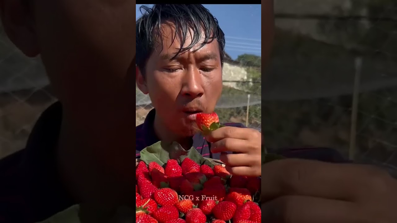 The original ecology in the mountains is my scenery 