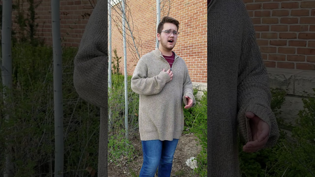 She Used to be Mine "Waitress" cover