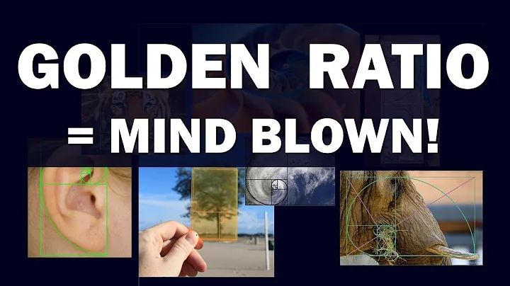 Golden Ratio = Mind Blown! - DayDayNews