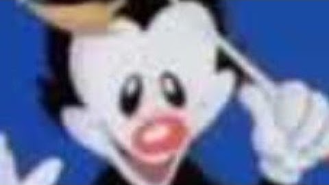 Yakko