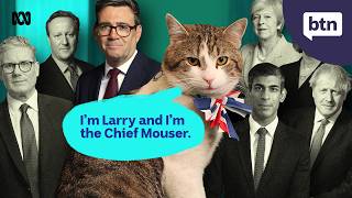 The rocky and sometimes strange world of UK Politics - Behind the News