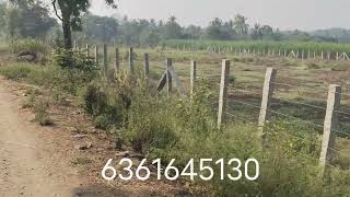 ID..176..9731865069..6361645130