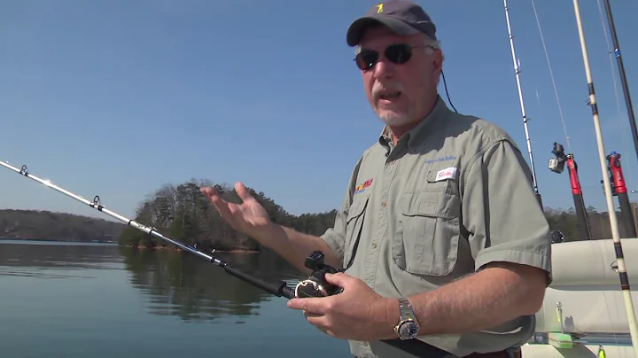 Pro Tip Planer Boards