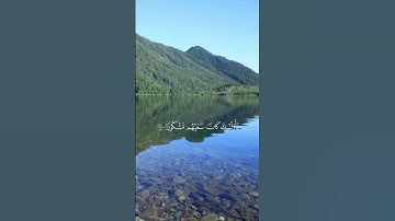 أكتب شيء تؤجر عليه #quran #اكسبلور #المصحف #قرآن #راحة_نفسية#قران_كريم #محمد_اللحيدان #سورة_الإسراء