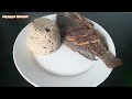arroz de coco/pescado/ patacones y ensalada. todo sencillo . 🇨🇴