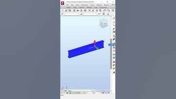 Reverse local axis of 1D member in Robot Structural Analysis Professional #Shorts
