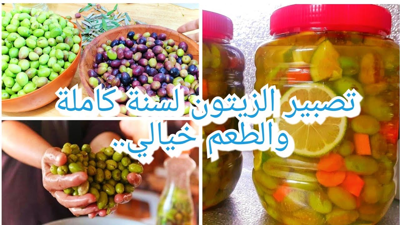 تصبير الزيتون الأخضر والبنفسجي والأسود ب3طرق صحية لسنة وأكثر طريقتي المعتمدة