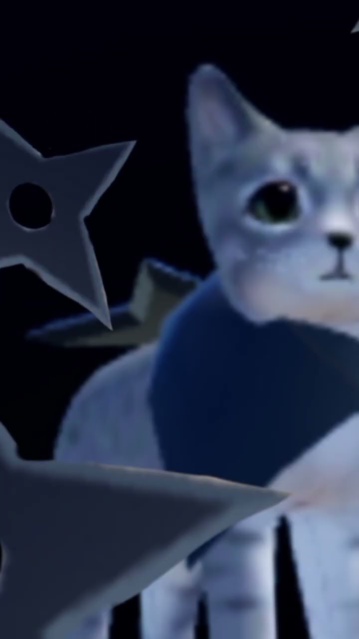 13:06] I LIKE YOU SO COME OVER RIGHT NOW!!! #ninjacat #kittengame