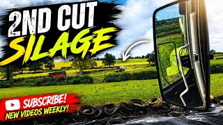 2nd cut silage underway!!!