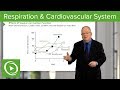 Anesthesiology: Respiration & Cardiovascular System – Anesthesiology | Lecturio