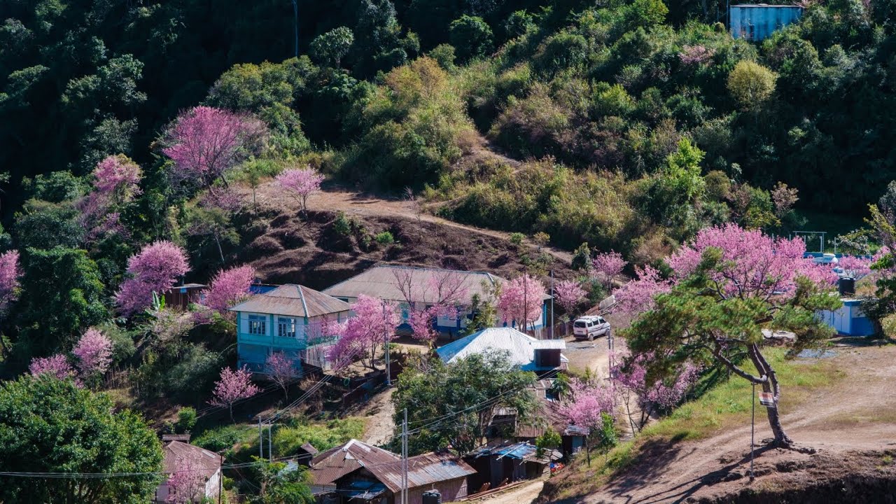 Darzo tlâng leh a chhehvêl a Tlaizawng pâr fanna. 
