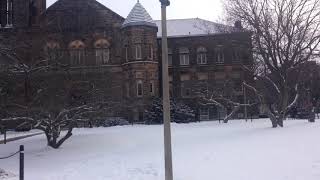 Spring + Winter = SpringTer - UIUC 2018