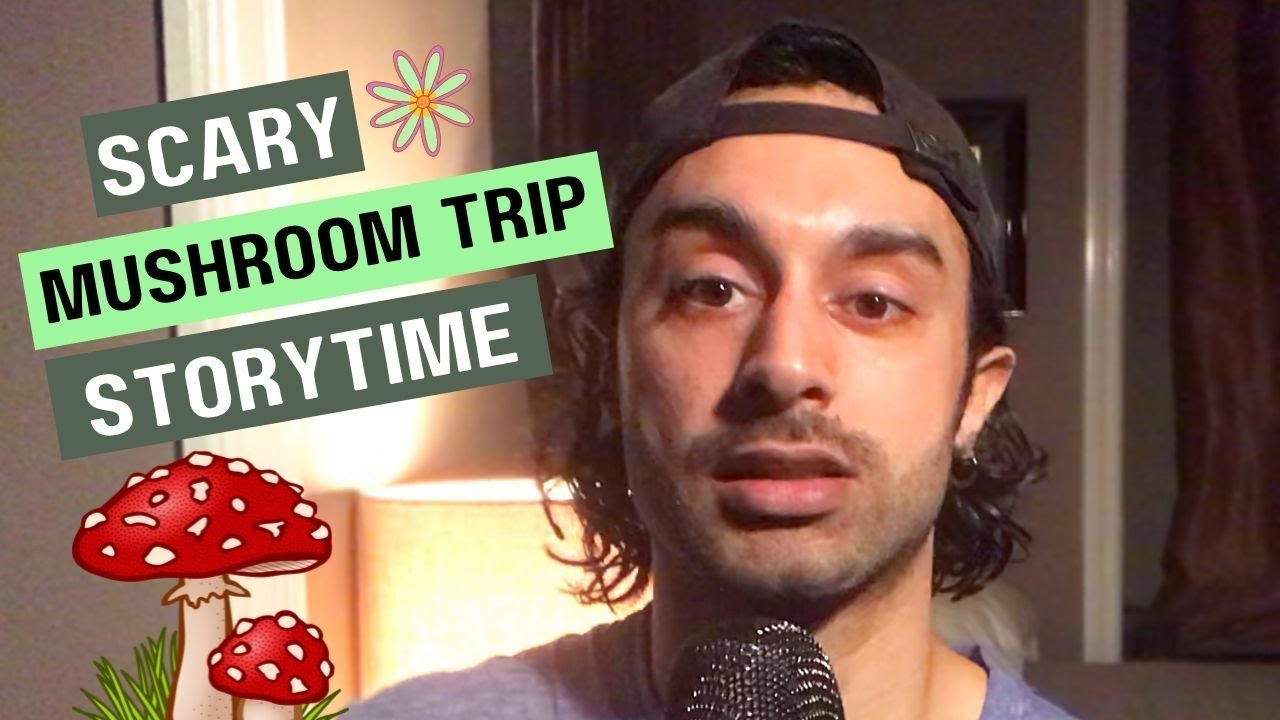 My Heroic Dose Mushroom Trip Experience