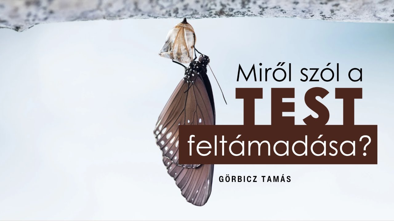 Görbicz Tamás - A test feltámadása?