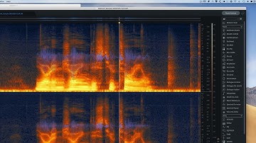 RX7 Dialogue Contour explained