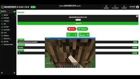 checking out exaroton!