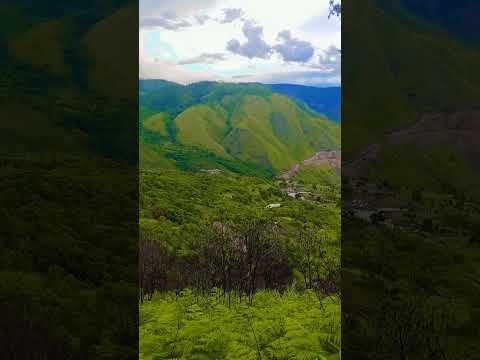 #Greenscenery