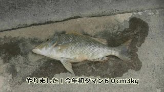 ボトムキング　ブルズアイ　打ち込み　釣り この秋使いたい新入荷ルアーから、オススメアイテムをご紹介！ - 道東