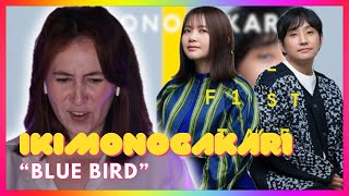 lkimonoakari X The First Take "Blue Bird" | Mireia Estefano Reaction Video