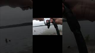 #ilovefishing #bassfishing #lifeisbutadream #carpfishing #fishing #carp #viral #catfishfish #sportfi