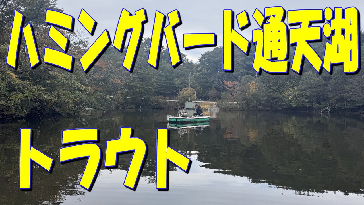 ハミングバード通天湖でトラウト釣りに行って来ました