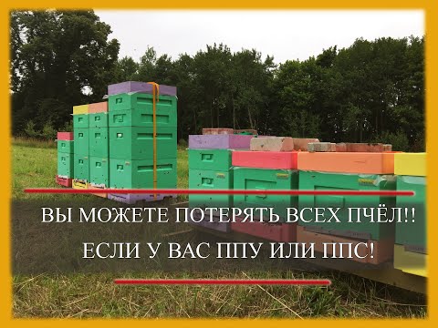 Вы можете потерять всех пчёл- если у вас ППУ или ППС