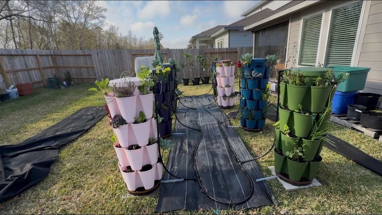 Saying Goodbye to Weeding Around and Under my GreenStalk!