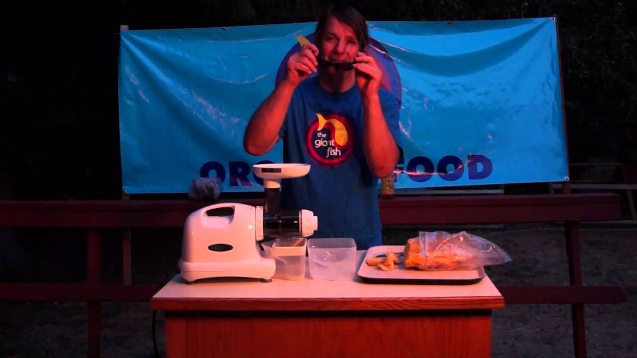 Omega Juicer 8004 Frozen Desserts YouTube