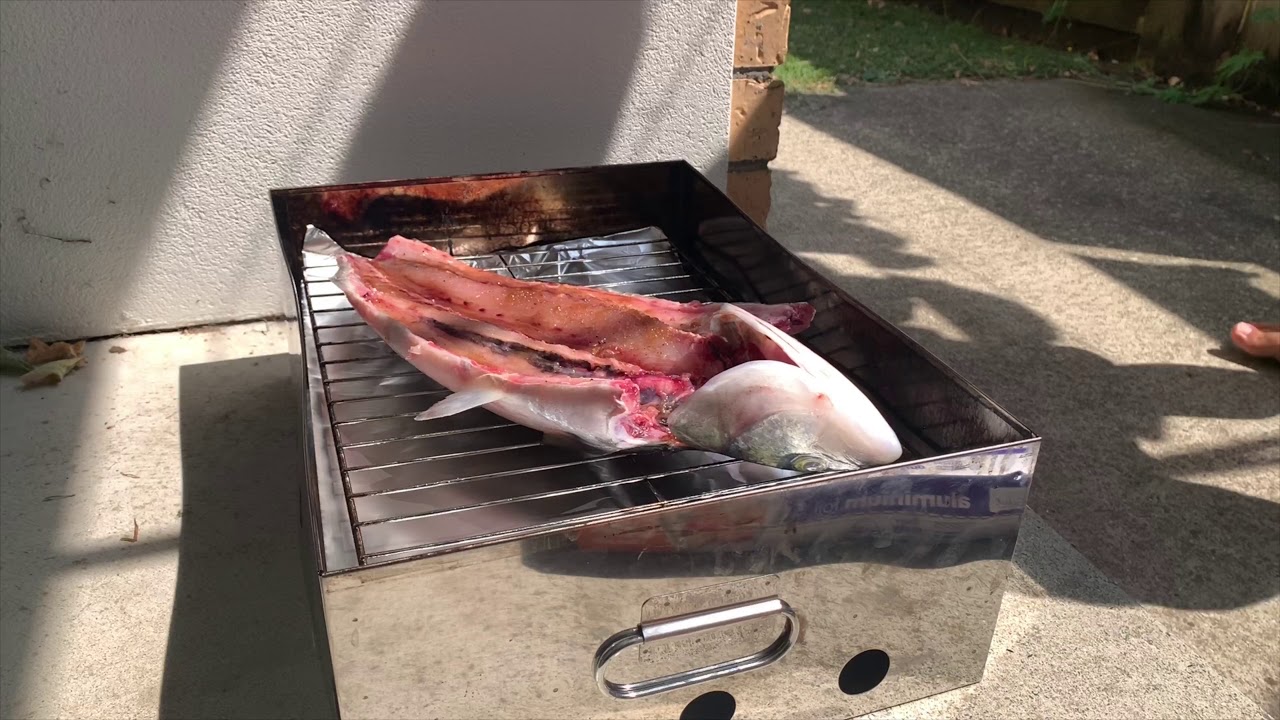 Summer Smoking Kahawai YouTube