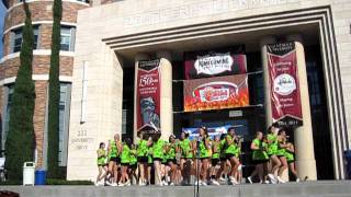 PHI SIG banner and chant 2011
