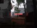 दुमका में बारिश# trending #video #misthi