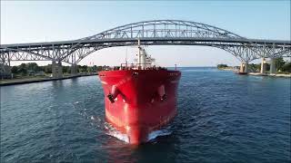 FEDERAL KATSURA - Downbound Port Huron, Michigan 7-20-2025