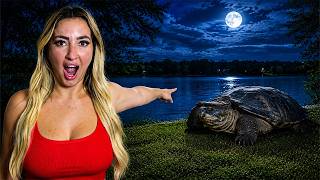 I FOUND A HUGE TURTLE OUTSIDE...