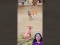 #comedy #funny ,🤣🤣