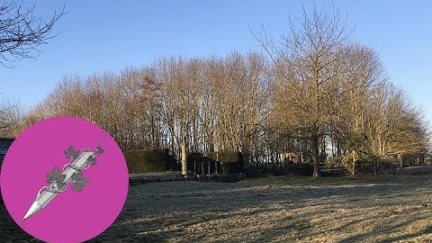 How to change your microclimate - Shelter belts