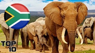 Top 10 South Africa Surprising Facts