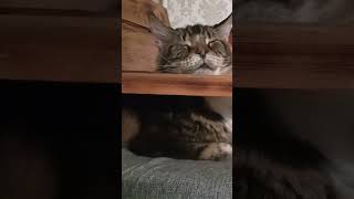 Точно Так И Было