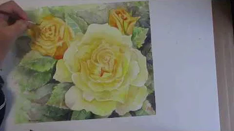 Marilyn Clarke Yellow Roses