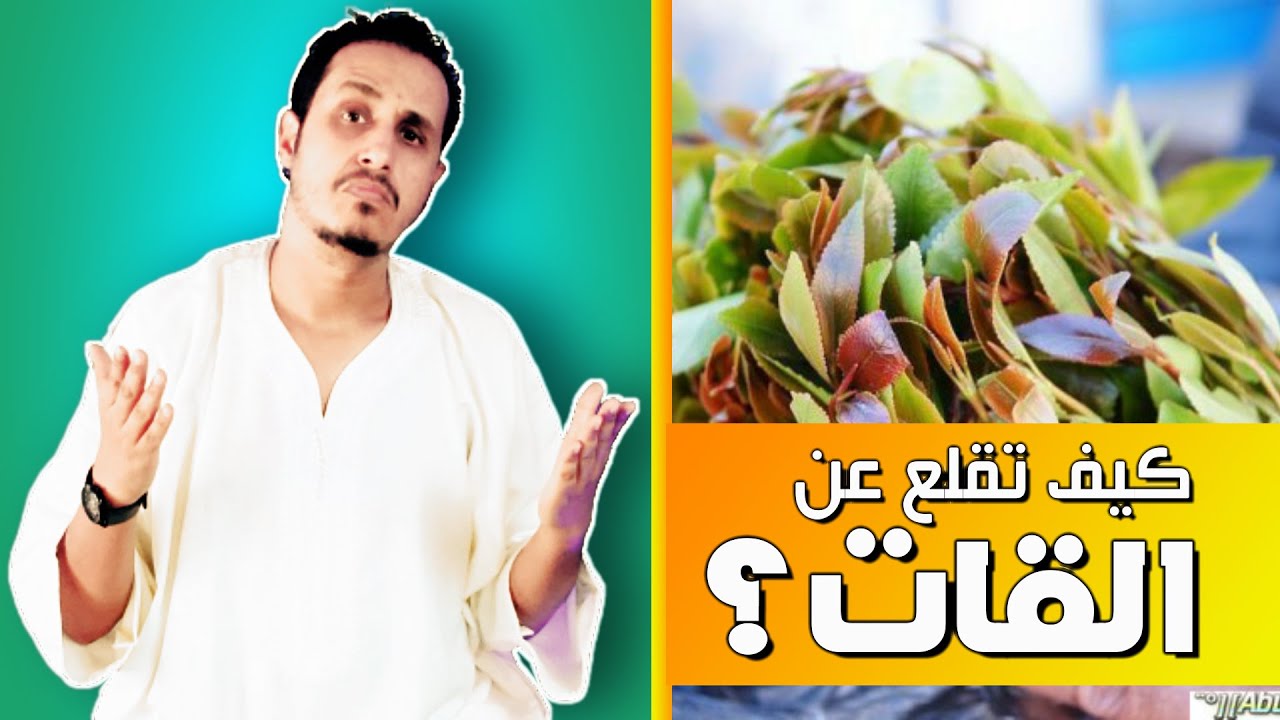 قصة عجيبة | كيف تحولت من أكبر مولعي إلى اكبر معادي للقات؟ وما هي اضراره؟ وكيف تقلع عن هذه العادة؟