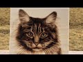 Karen the Cat Pyrography (Wood Burning) Time Lapse Video