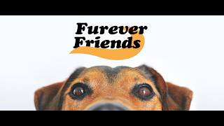 Furever Friends #390
