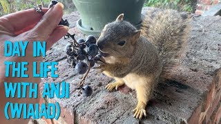 Day In The Life of Anji: Eating Vegan At Home