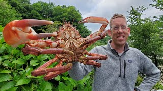 Spearfishing, Diving & Snorkeling Entire UK - Catch & Cook Crabs, Scallops & Fish