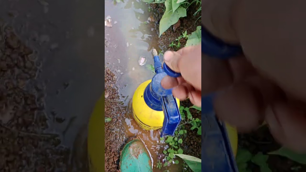 CARA BERANTAS HAMA BOLENG