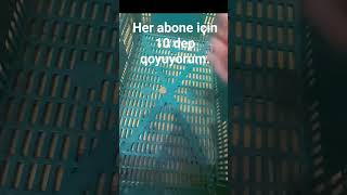 her aboneye 10 qep qoyuyorum.