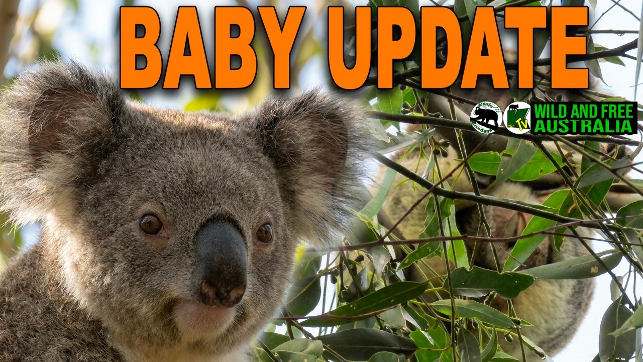 RUBY BABY UPDATE oh my that pouch just cannot even stay closed anymore