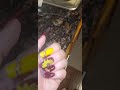 Fall Nails sunflower nails #notpolish