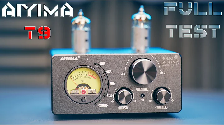 AIYIMA T9 Tube Amplifier