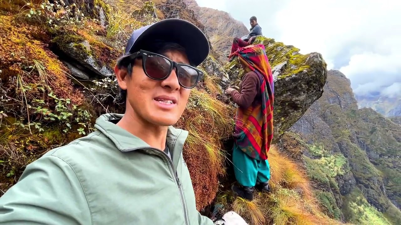 Risking Life!!! Herbal Harvesting in Wild Himalaya