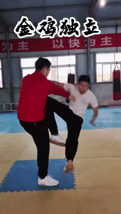 Tai chi chuan | Low energy Takedowns |  | taichi application | Chen Style Taiji Quan | 陈式 太极拳